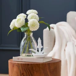 Dahlia in Glass Vase
