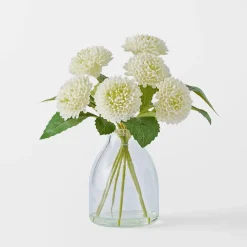Dahlia in Glass Vase