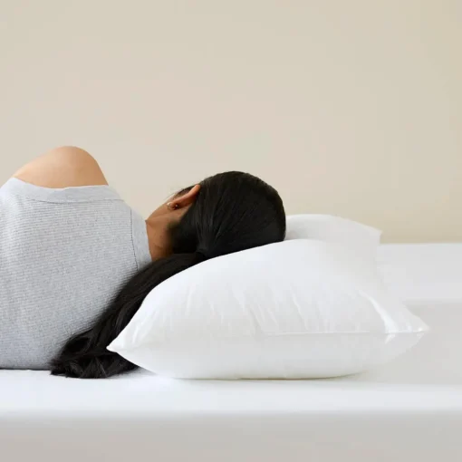 Hollowlight Standard Pillow