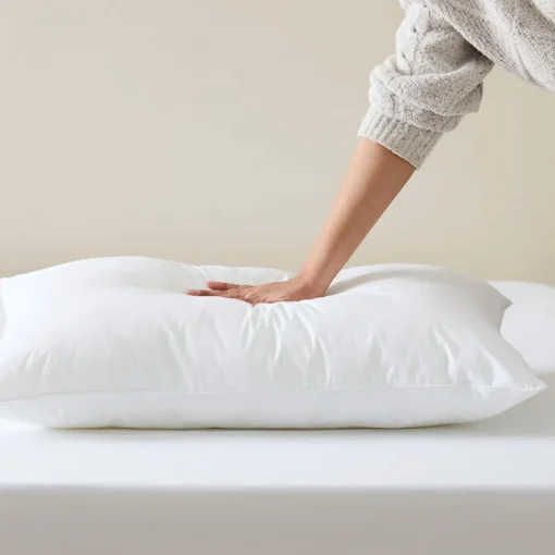 Hollowlight Standard Pillow