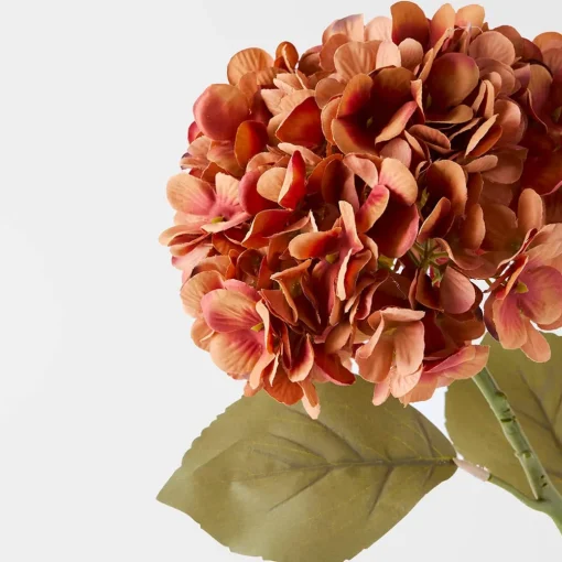 Hydrangea Stem Pink