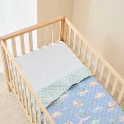 Little Dino Reversible Rectangle Play Mat/Comforter