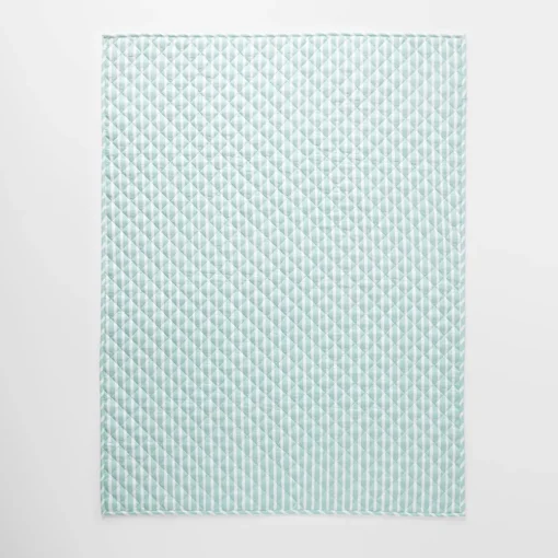 Little Dino Reversible Rectangle Play Mat/Comforter