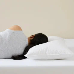 Platinum Duck Surround Pillow
