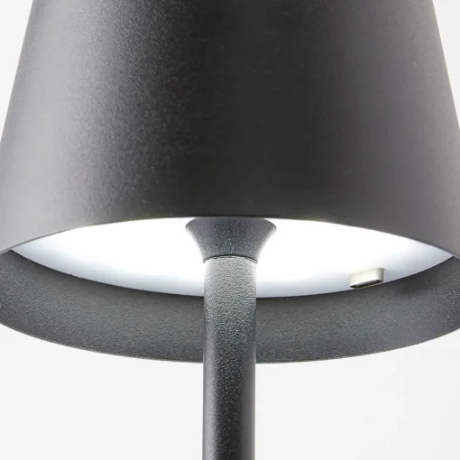 Ramona LED Table Lamp