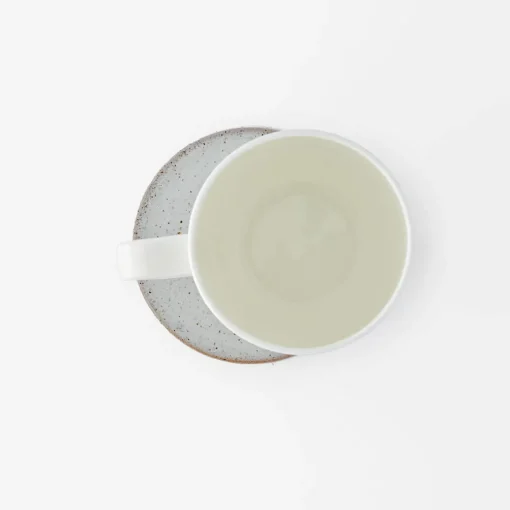 Reactive Glaze Coaster Set Of 4 - Eucalyptus