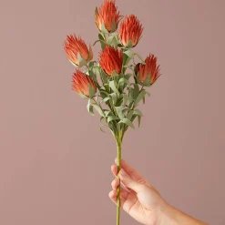 Ruby Blush Spray - Burnt Orange