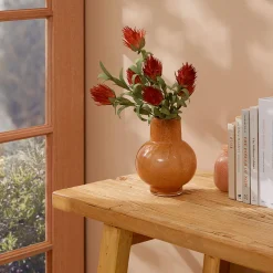 Ruby Blush Spray - Burnt Orange
