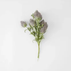 Ruby Blush Spray - Lavender