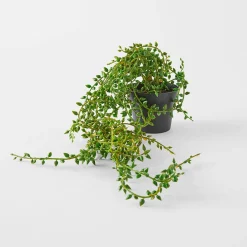 String Of Beads Pot
