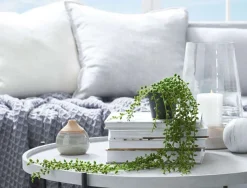 Trailing Greenery In Pot