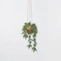 Trailing Gum Greenery In Basket