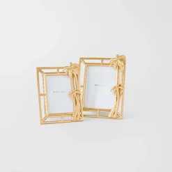 Tropical Palm Frame